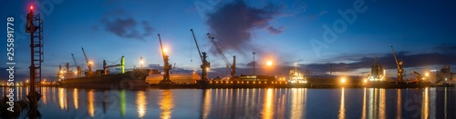 bulk cargo ships in the sea port at night, high resolution panorama © Mike Mareen