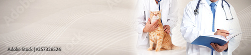 Cat and veterinarian doctor © Kurhan
