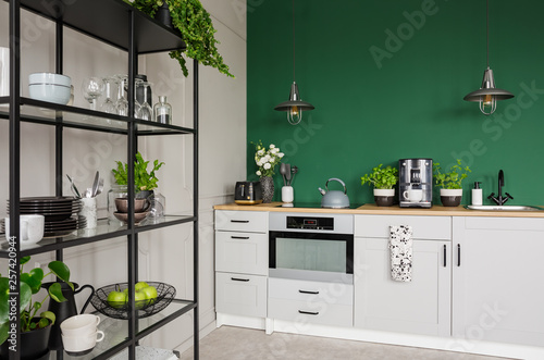 Two industrial lamps above kitchen furniture with herbs, coffee maker and roses in vase, copy space on empty green wall © Photographee.eu