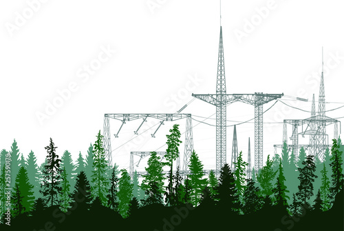 electric power pylons in dark green forest on white © Alexander Potapov