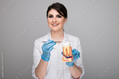 Female dentist with tooth model showing how to brush teeth © burdun