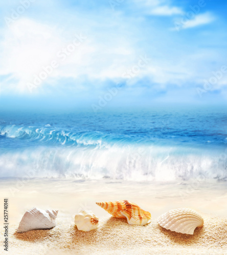 Summer beach. Seashell on a sand and ocean. © Belight