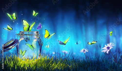Freedom Concept - Magic Butterflies Flying Out Of The Jar On The Lawn © Romolo Tavani