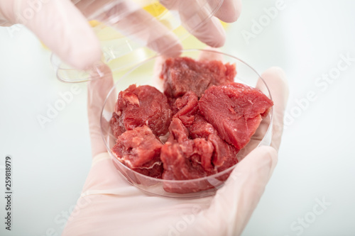 Scientist Holding Petri Dish With Meat Sample © Andrey Popov