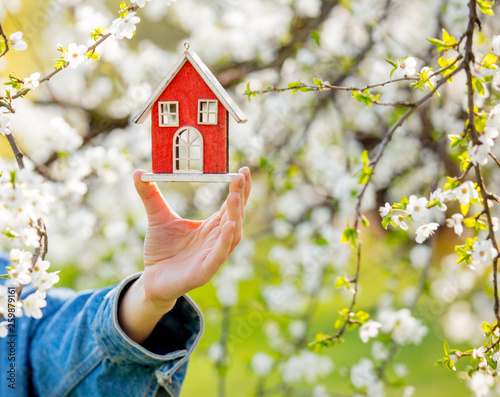 Female hand holding red little house near flowering tree. © Masson