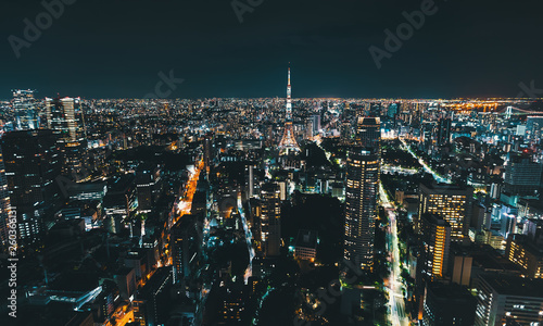 Aerial view of Tokyo Tower at night in Japan © Tierney