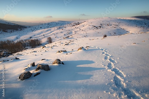 Traces Of Hiker With Snowshoes Prints On The Snow