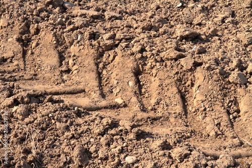 terra di un campo agricolo