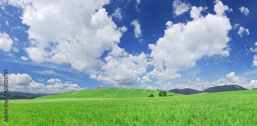 Idyllic view, green hills and blue sky with white clouds © Trutta
