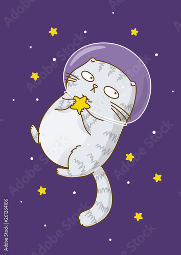Cute scottishfold cat astronaut on starry space background © evgeniya_m
