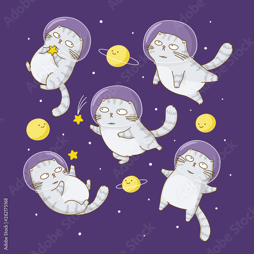 Cute scottishfold cats astronauts on starry space background © evgeniya_m